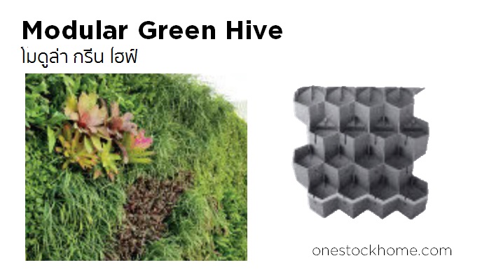 โมดูล่า กรีน ไฮฟ์ Modular Green Hive