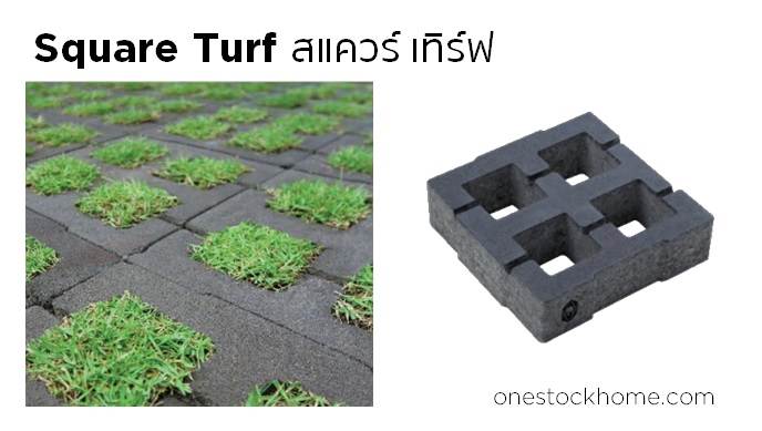 สแควร์ เทิร์ฟ Square Turf