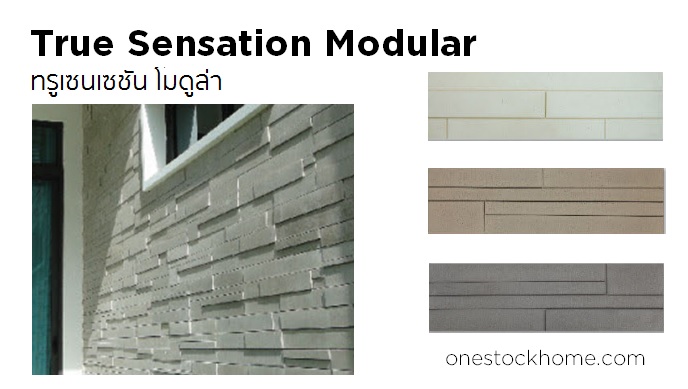 ทรูเซนเซชั่น โมดูล่า True Sensation Modular