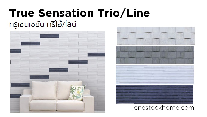 ทรูเซนเซชั่น ทรีโอ้/ไลน์ True Sensation Trio/Line