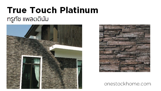 ทรูทัช แพลตตินัม True Touch Platinum