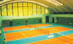 พื้นยาง สำหรับกีฬา